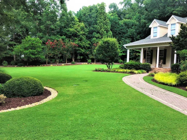 Bermuda Sod 450 sq. ft - Image 5