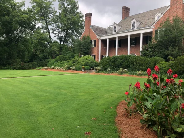 Bermuda Sod 450 sq. ft - Image 2